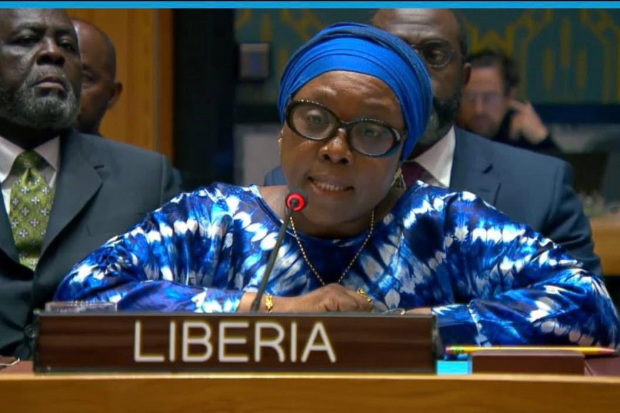 Liberia's Foreign Minister Pushes for Greater African Representation at UN Security Council