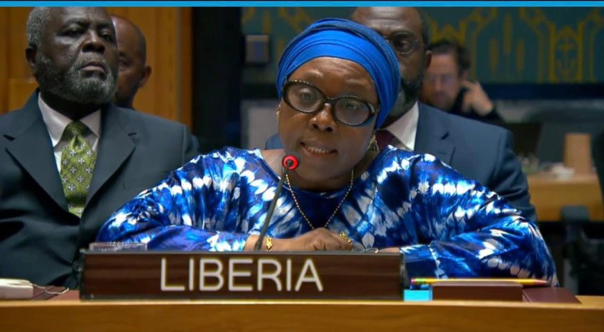 Liberia's Foreign Minister Pushes for Greater African Representation at UN Security Council