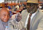 House Endorses Elections Committee’s Action, Summons NEC Over Early Campaign Concerns
