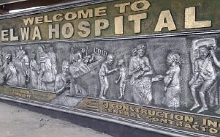 Female Ward at ELWA Hospital Reportedly Closes Over Doctor Shortage