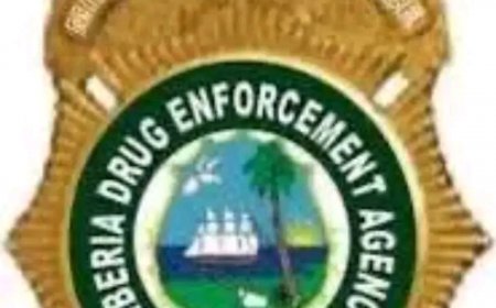 LDEA Breaks Silence on US$19 Million Cocaine Bust, Warns Against Releasing Suspects' Names Amid Expanding National Security Probe