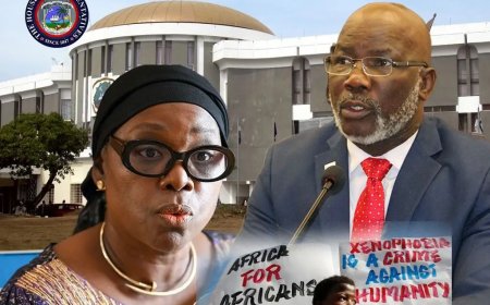 House Demands Answers on Safety of Liberians in South Africa Amid Xenophobia Concerns