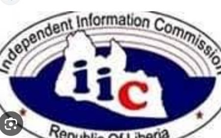 IIC Raises Alarm Over CSA Non-Disclosure Agreement, Says Policy Undermines FOI and Whistleblower Protections