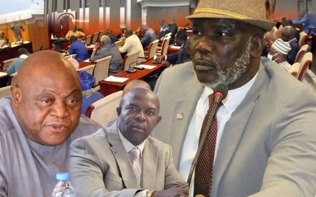 House Endorses Elections Committee’s Action, Summons NEC Over Early Campaign Concerns