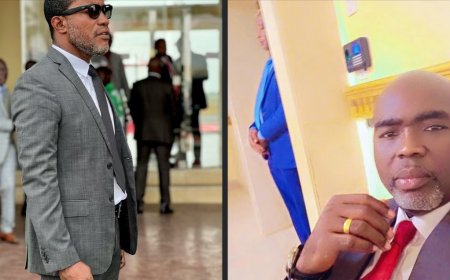 Boakai Reappoints Suspended Aides Tarnue Kesselly, Charles Johnson to Illegal Mining Taskforce