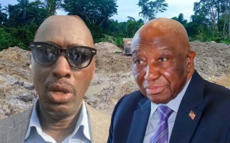 Pres. Boakai Appoints Kromah to Lead Crackdown on Illicit Mining