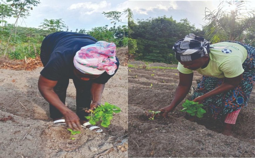 Women Farmers Take Center Stage as RRI, Partners Mark International Year of Women Farmers