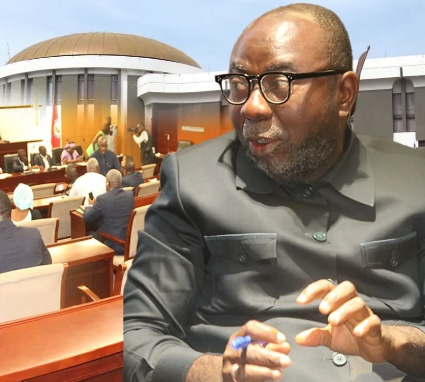 Lawmaker Raises Constitutional Questions Over Anti-Corruption Court Law