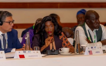 Liberia Says Visa-Free Africa Will Fail Without Better Transport
