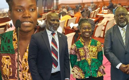 Protecting Liberia or Promoting Discrimination? Scholar Challenges Lawmakers Over 'Negro Clause'