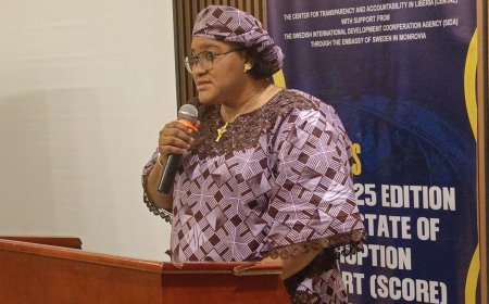Corruption Is Turning Justice into a Distant Promise AFELL Backs CENTAL's 2025 Report