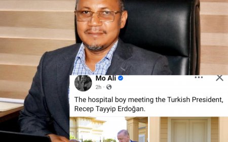 “‘Hospital Boy’ Meets Erdoğan: LWSC Boss Battles Critics Over Boakai’s Leadership Capacity”