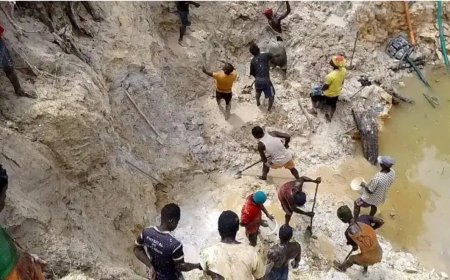 Sapo National Park, Who is Encouraging illicit Mining?