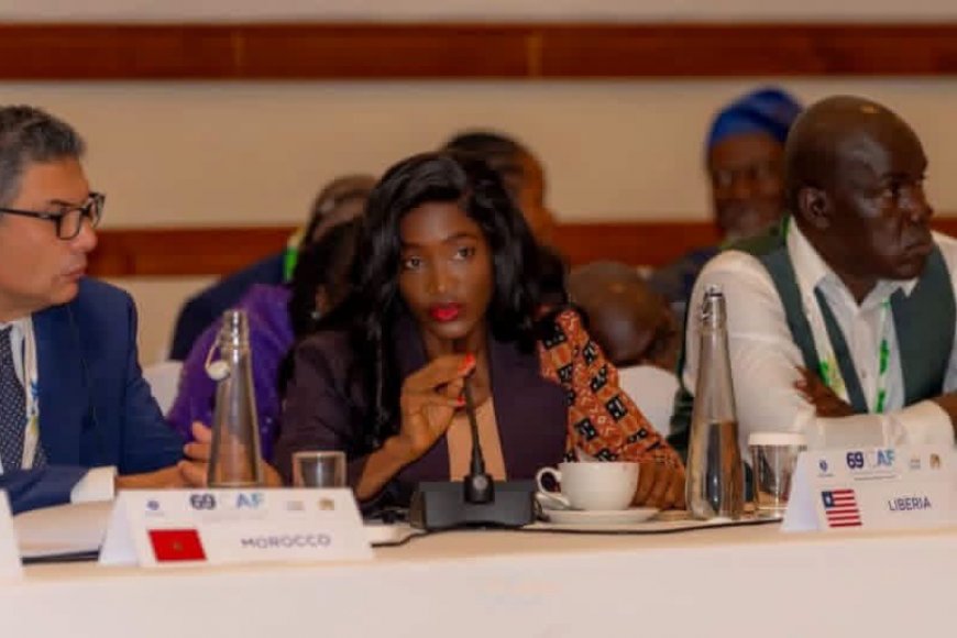Liberia Says Visa-Free Africa Will Fail Without Better Transport