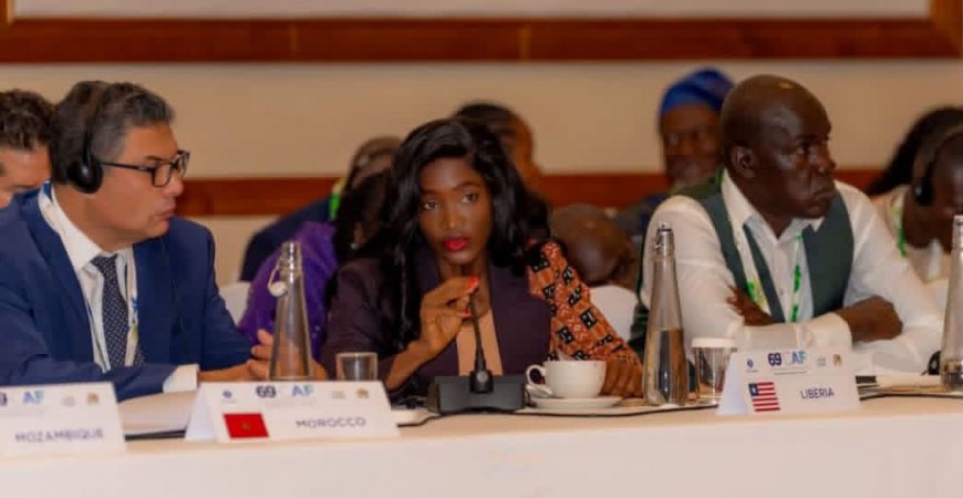 Liberia Says Visa-Free Africa Will Fail Without Better Transport