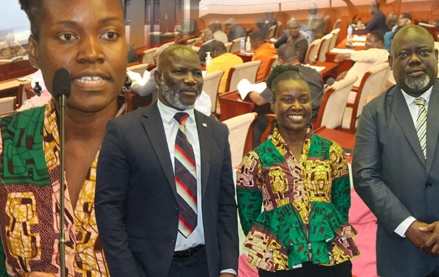 Protecting Liberia or Promoting Discrimination? Scholar Challenges Lawmakers Over 'Negro Clause'