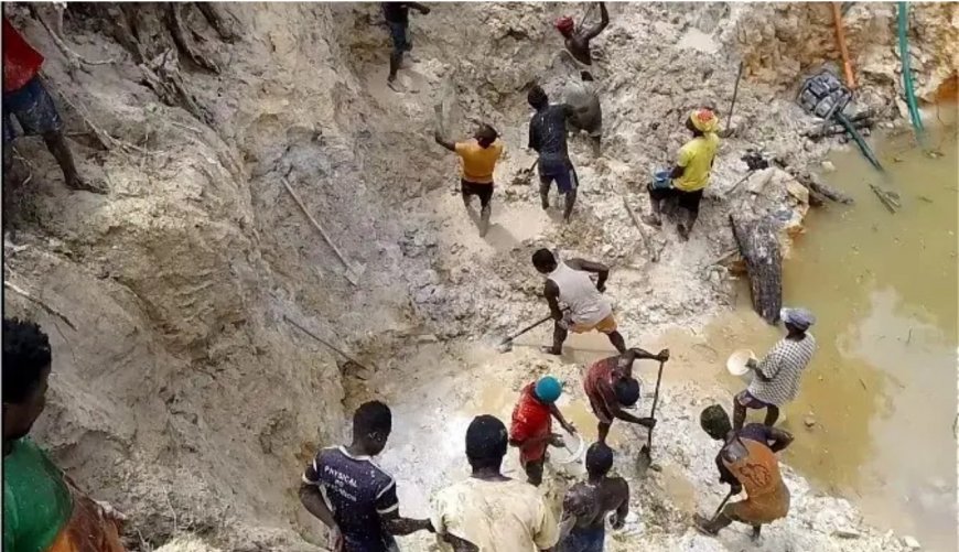 Sapo National Park, Who is Encouraging illicit Mining?