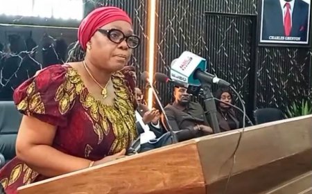 Liberia Will Not Become a Narco State” Foreign Minister Nyanti Declares
