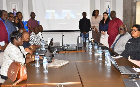 WCO Mission Assesses Liberia’s Readiness for International AEO Customs Program