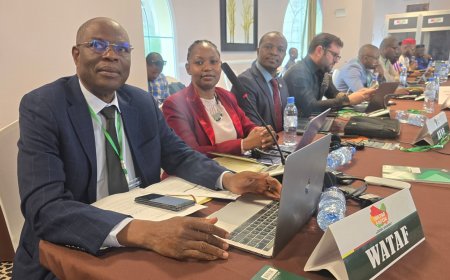 ECOWAS Targets 300% Rise in Tobacco Tax Revenue, Moves to Curb Smoking
