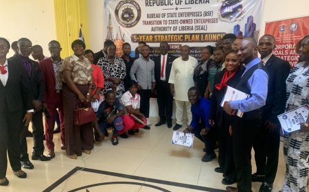 BSE Becomes SEAL as Liberia Launches Five-Year Plan to Reform State-Owned Enterprises