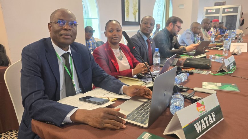 ECOWAS Targets 300% Rise in Tobacco Tax Revenue, Moves to Curb Smoking