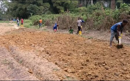 “We Are Losing Our Produce And Our People”: Fetuah Residents Demand Urgent Road Action