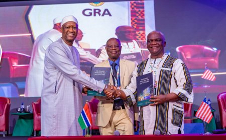 Gambia Turns to Liberia for Revenue Dashboard Expertise