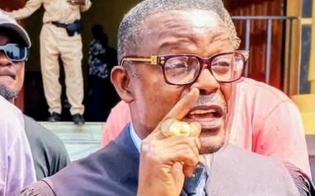 Cllr. Johnson Backs Liberia's Cybercrime Law