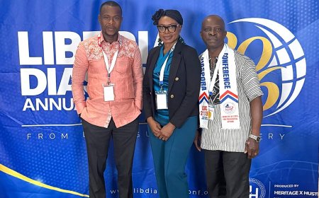 LRA Calls For Greater Diaspora Participation In Tax Compliance