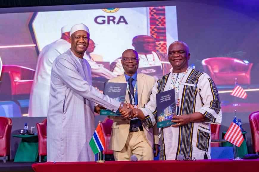 Gambia Turns to Liberia for Revenue Dashboard Expertise