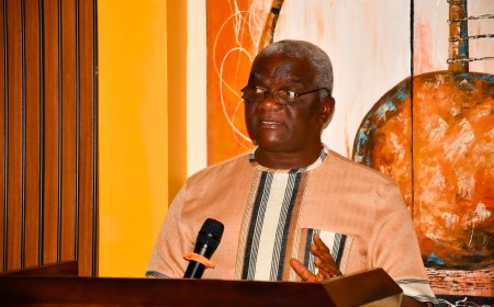 LRA Calls For Stronger Action To Recover Africa’s Lost Resources