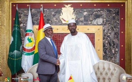 Speaker Koon Urges Guinea’s Doumbouya To Strengthen Ties With Liberia, Calls For Stronger Regional Parliamentary Cooperation