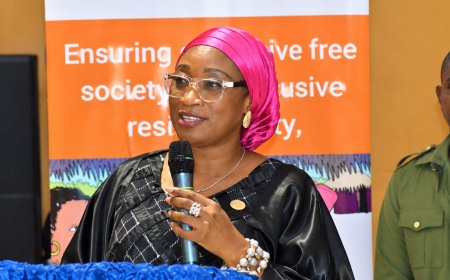 Ministry Of Gender Launches Gbv Data System To Unify National Reporting