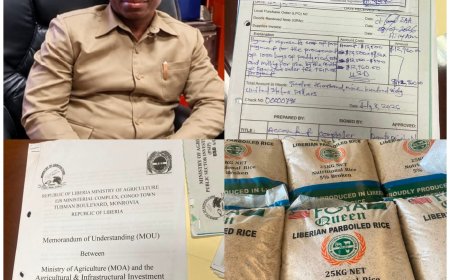 Agriculture Minister Denies Rice Repackaging Allegation, Defends Local Sourcing