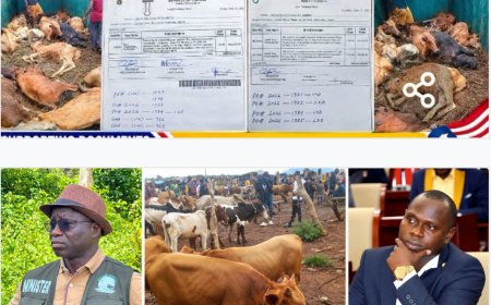 Agriculture Spending Under Scrutiny as Civil Society Group Challenges Kwagrue’s Corruption Claims