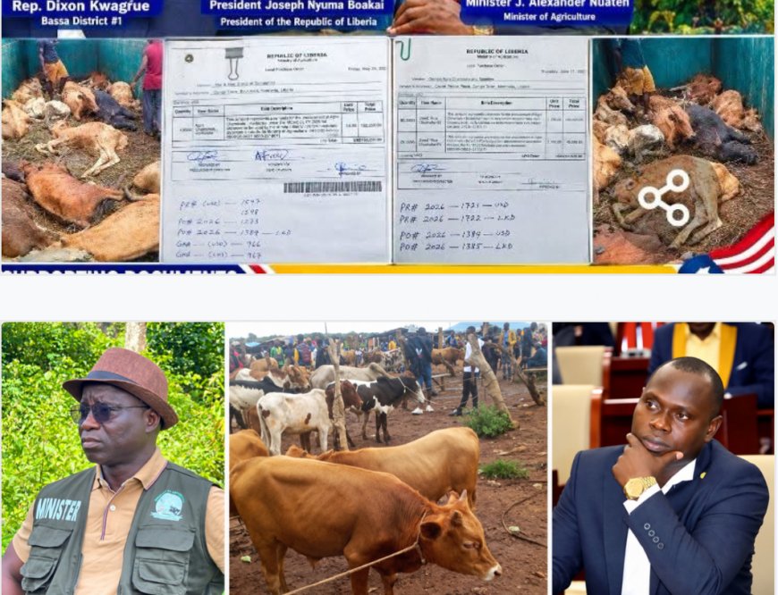 Agriculture Spending Under Scrutiny as Civil Society Group Challenges Kwagrue’s Corruption Claims